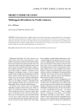 Báo cáo lâm nghiệp: "Multiaged silviculture in North America"