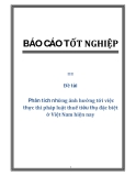 Đề tài : Phân tích những ảnh hưởng tới việc thực thi pháp luật thuế tiêu thụ đặc biệt ở Việt Nam hiện nay