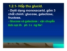 Bài giảng hấp thu các chất ở ruột non và chức năng gan part 2