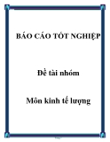 Đề tài nhóm môn kinh tế lượng