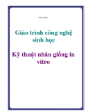 Giáo trình công nghệ sinh học: Kỹ thuật nhân giống in vitro