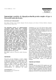 Báo cáo khoa học: "Immunologic reactivity of a lipopolysaccharide-protein complex of type A Pasteurella multocida in mice"