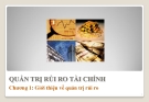 QUẢN TRỊ RỦI RO TÀI CHÍNH