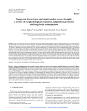 Báo cáo lâm nghiệp: "Temperate forest trees and stands under severe drought: a review of ecophysiological responses, adaptation processes and long-term consequences"