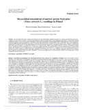 Báo cáo lâm nghiệp: "Mycorrhizal associations of nursery grown Scots pine (Pinus sylvestris L.) seedlings in Poland"