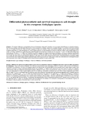 Báo cáo lâm nghiệp: "Diﬀerential photosynthetic and survival responses to soil drought in two evergreen Nothofagus species"