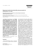 Báo cáo khoa học: "Expression of apxIA of Actinobacillus pleuropneumoniae in Saccharomyces cerevisiae"