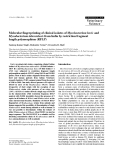 Báo cáo khoa học: " Molecular fingerprinting of clinical isolates of Mycobacterium bovis and Mycobacterium tuberculosis from India by restriction fragment length polymorphism (RFLP)"