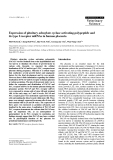 Báo cáo khoa học: " Expression of pituitary adenylate cyclase activating polypeptide and its type I receptor mRNAs in human placenta"