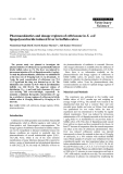 Báo cáo khoa học: " Pharmacokinetics and dosage regimen of ceftriaxone in E. coli lipopolysaccharide induced fever in buffalo calves"