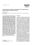 Báo cáo khoa học: "Protective effect of the isoflavone equol against DNA damage induced by ultraviolet radiation to hairless mouse skin"