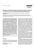 Báo cáo khoa học: "Gamma-ray irradiation stimulates the expression of caveolin-1 and GFAP in rat spinal cord: a study of immunoblot and immunohistochemistry"