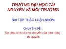 Báo cáo thảo luận nhóm : Sự phát sinh và chu chuyển của nitơ trong khí quyển