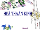 BÀI THUYẾT TRÌNH:  HỆ THẦN KINH