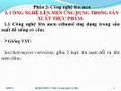 PHẦN 2: CÔNG NGHỆ LÊN MEN ỨNG DỤNG TRONG SẢN XUẤT