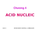 CHƯƠNG 4: ACID NUCLEIC