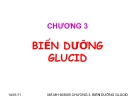  BIẾN DƯỠNG GLUCID 