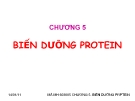  BIẾN DƯỠNG PROTEIN 