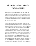 KỸ THUẬT TRỒNG TRÀM ÚC TRÊN ĐẤT PHÈN 
