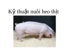 Kỹ thuật nuôi heo thịt