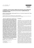 Báo cáo khoa học: "A multiplex real-time PCR for differential detection and quantification of Salmonella spp., Salmonella enterica serovar Typhimurium and Enteritidis in meats"