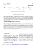 Báo cáo lâm nghiệp: "Physiological and morphological responses of dormant and growing Norway spruce container seedlings to drought after planting"