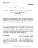 Báo cáo lâm nghiệp: "Variation of morphological traits in natural populations of maritime pine (Pinus pinaster Ait.) in Morocco"