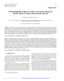 Báo cáo lâm nghiệp: " Seed germination of Quercus robur, Q. pyrenaica and Q. ilex and the effects of smoke, heat, ash and charcoal"