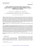 Báo cáo lâm nghiệp: "Light acclimation and photosynthetic response of beech (Fagus sylvatica L.) saplings under artificial shading or natural Mediterranean conditions"