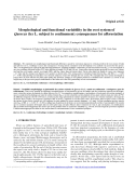 Báo cáo lâm nghiệp: "Morphological and functional variability in the root system of Quercus ilex L. subject to conﬁnement: consequences for aﬀorestation"