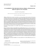 Báo cáo lâm nghiệp:"An examination of the interaction between climate, soil and leaf area index in a Quercus ilex ecosystem"