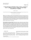Báo cáo lâm nghiệp:"Growth and biomass partitioning of Fagus sylvatica L. and Quercus robur L. seedlings in response to shading and small changes in the R/FR-ratio of radiation"