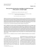 Báo cáo lâm nghiệp:"Shoot growth and phenology modelling of grafted Stone pine (Pinus pinea L.) in Inner Spain"
