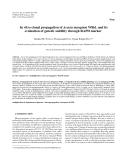 Báo cáo lâm nghiệp: "In vitro clonal propagation of Acacia mangium Willd. and its evaluation of genetic stability through RAPD marker"