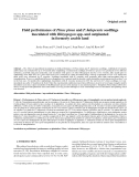 Báo cáo lâm nghiệp: "Field performance of Pinus pinea and P. halepensis seedlings inoculated with Rhizopogon spp. and outplanted in formerly arable land Javier"