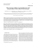 Báo cáo lâm nghiệp: "Effect of storage conditions on post planting water status and performance of Pinus radiata D. Don stock-types"