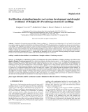 Báo cáo lâm nghiệp: "Fertilization at planting impairs root system development and drought avoidance of Douglas-fir (Pseudotsuga menziesii) seedlings"