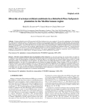 Báo cáo lâm nghiệp: "Diversity of ectomycorrhizal symbionts in a disturbed Pinus halepensis plantation in the Mediterranean region"