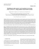 Báo cáo lâm nghiệp: "Modelling juvenile-mature wood transition in Scots pine (Pinus sylvestris L.) using nonlinear mixed-effects models"