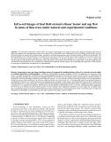 Báo cáo lâm nghiệp: "Infra-red images of heat field around a linear heater and sap flow in stems of lime trees under natural and experimental conditions"