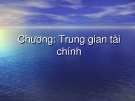 Chương: Trung gian tài chính