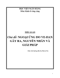 Tiểu luận: NGOẠI ỨNG DO VE-DAN GÂY RA, NGUYÊN NHÂN VÀ GIẢI PHÁP