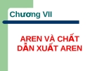 AREN VÀ CHẤT DẪN XUẤT AREN