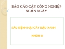 Báo cáo cây nông nghiệp ngắn ngày " SÂU BỆNH TRÊN CÂY ĐẬU XANH "