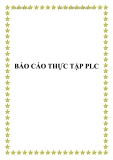 BÁO CÁO THỰC TẬP PLC