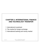 International finance and technology transfer