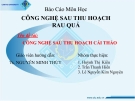 Báo cáo nhóm : Công nghệ sau thu hoạch Cải Thảo