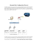 Dynamica  Host Configuration Protocol 