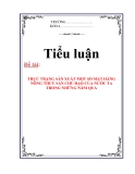 TIỂU LUẬN: THỰC TRẠNG SẢN XUẤT MỘT SỐ MẶT HÀNG NÔNG THỦY SẢN CHỦ ĐẠO CỦA NƯỚC TA TRONG NHỮNG NĂM QUA