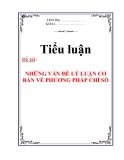 TIỂU LUẬN: NHỮNG VẤN ĐỀ LÝ LUẬN CƠ BẢN VỀ PHƯƠNG PHÁP CHỈ SỐ